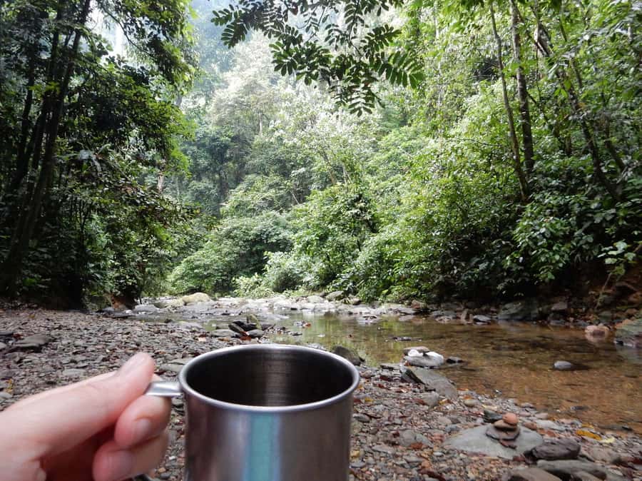 From Medan: 4 day tour to Bukit Lawang incl. jungle trek - Day four, back to Medan