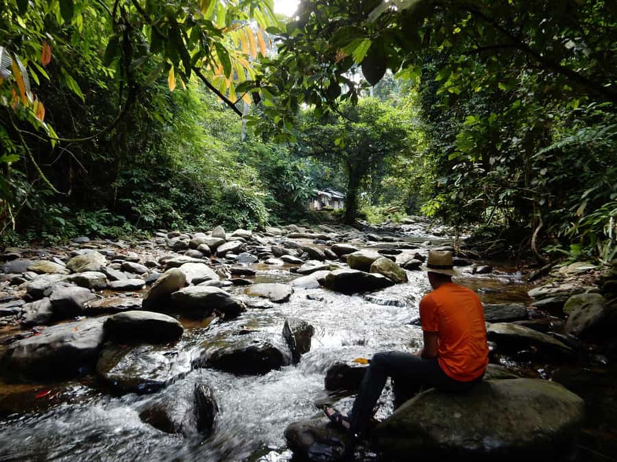 From Medan: 4 day tour to Bukit Lawang incl. jungle trek - Who should book this jungle trek?