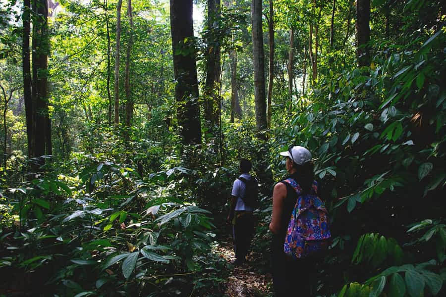 From Medan : Jungle Trekking for Orang Utan at Mount Leuser - Entering Mount Leuser from Bukit Lawang