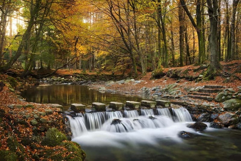From Newcastle: Game of Thrones Tollymore Forest Trek - Stop one: the wildling pit from the opening prologue