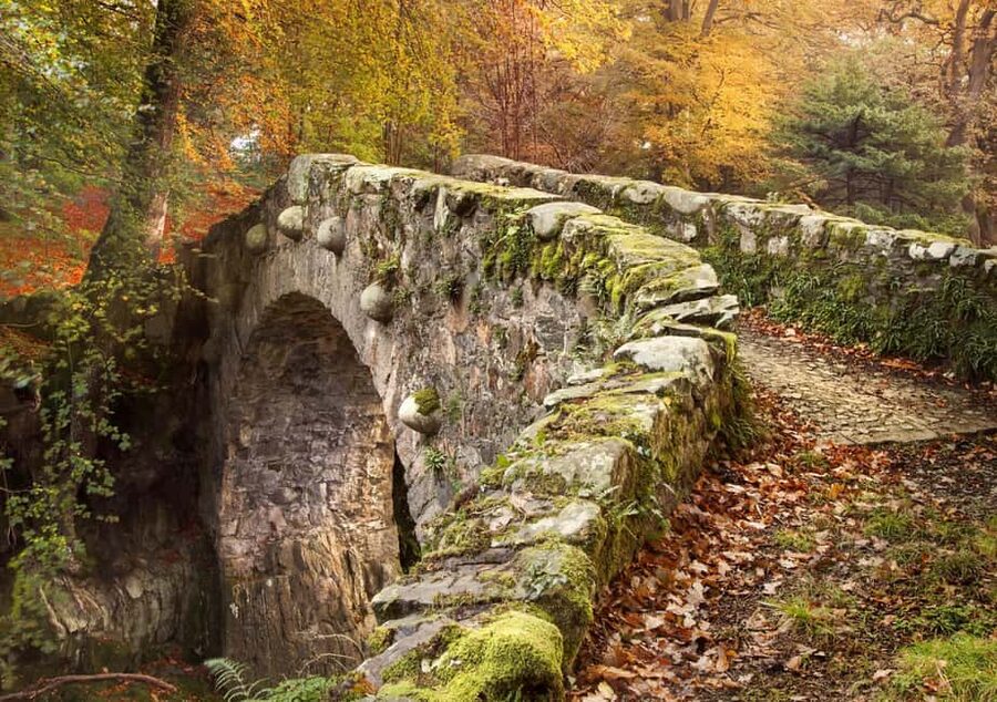 From Newcastle: Game of Thrones Tollymore Forest Trek - Stop two: Tyrion and Jon’s campfire