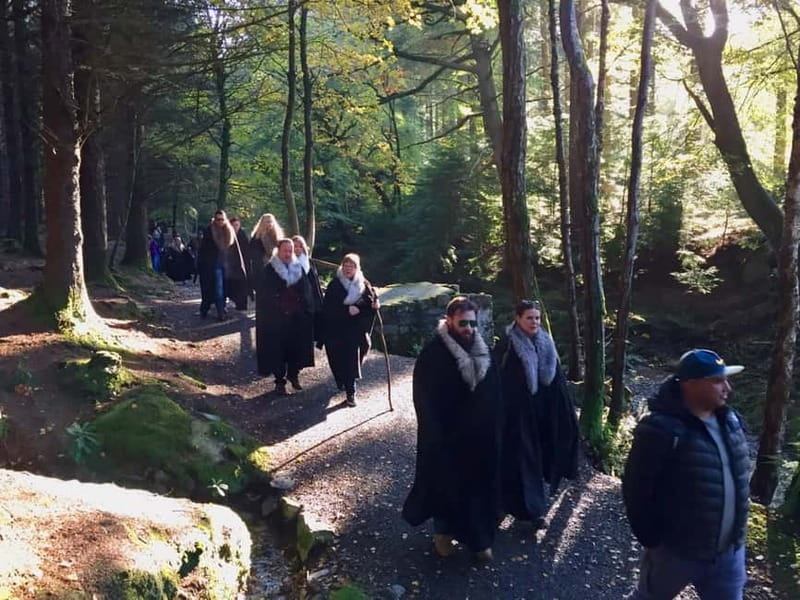 From Newcastle: Game of Thrones Tollymore Forest Trek - Stop three: the direwolf bridge
