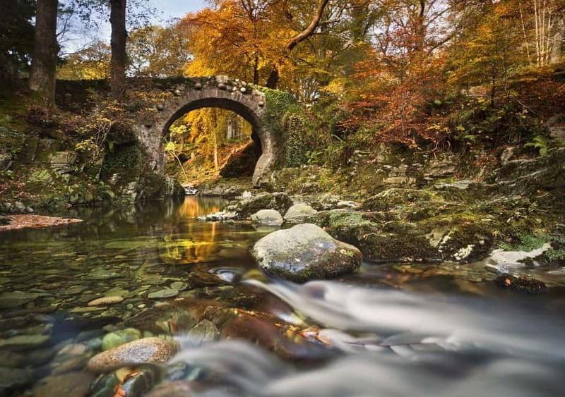 From Newcastle: Game of Thrones Tollymore Forest Trek - What the $13 price really gives you
