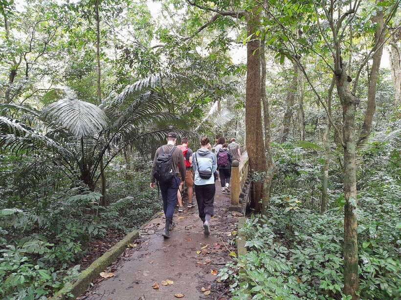 From Ninh Binh: Cuc Phuong National Park Trekking Day Tour - Vietnamese lunch inside the national park