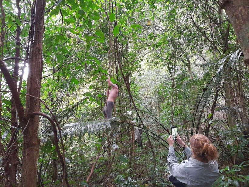 From Ninh Binh: Cuc Phuong National Park Trekking Day Tour - 8:30 a.m. pickup from Tam Coc, Trang An, or Ninh Binh