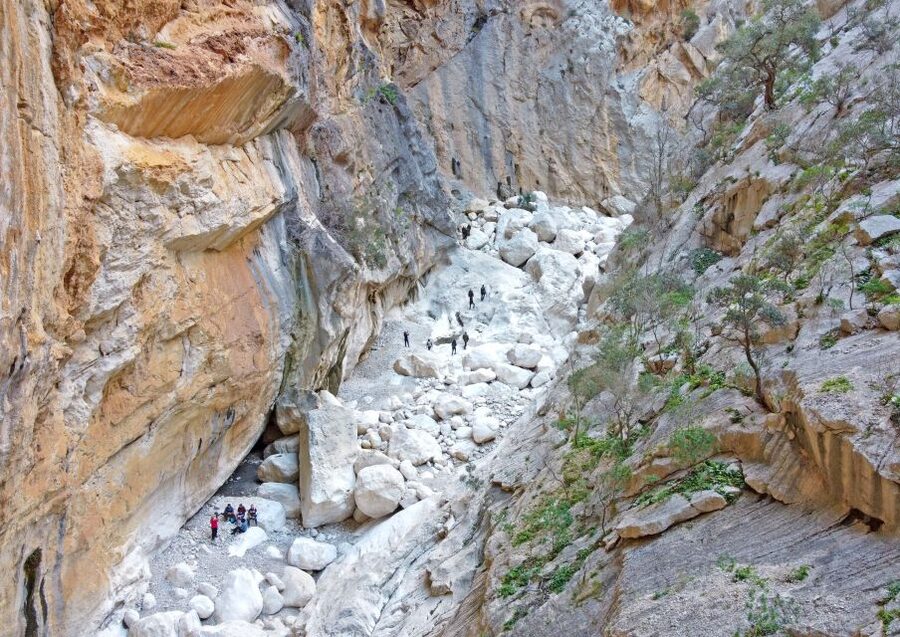 From Orosei or Dorgali: Trek to Gorropu with Panoramic Views - A guide who adds real value