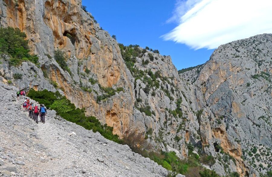 From Orosei or Dorgali: Trek to Gorropu with Panoramic Views - What the $77 price includes