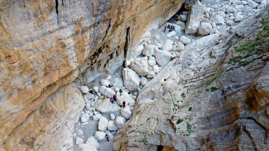 From Orosei or Dorgali: Trek to Gorropu with Panoramic Views - Who should book this Sardinia trek