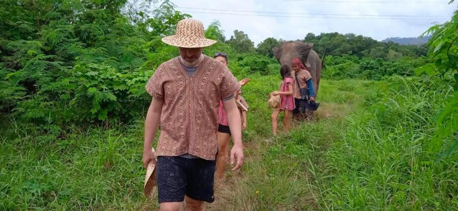 From Phuket: Ethical Elephant Interactive Trek and Tour - Who should book this experience?