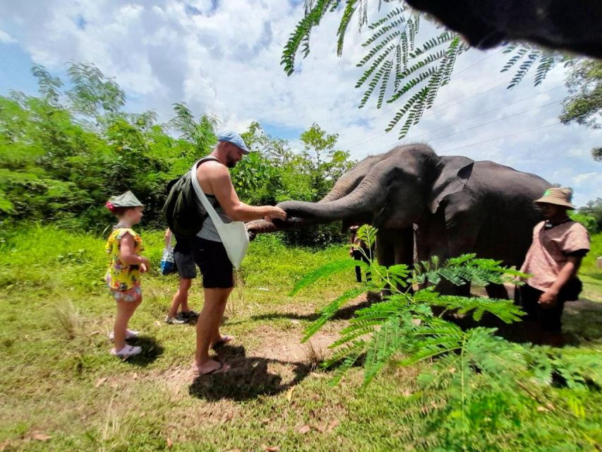 From Phuket: Ethical Elephant Interactive Trek and Tour - Feeding time and the practical side of elephant care