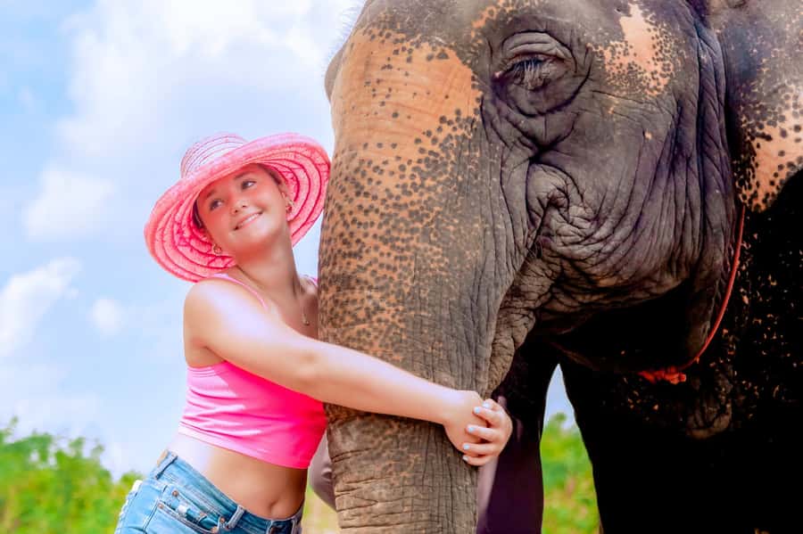 From Phuket: Ethical Elephant Interactive Trek and Tour - Bathing beside the elephants in the river