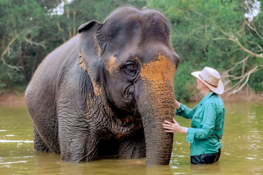 From Phuket: Ethical Elephant Interactive Trek and Tour - Final photographs, fruit, and the ride home