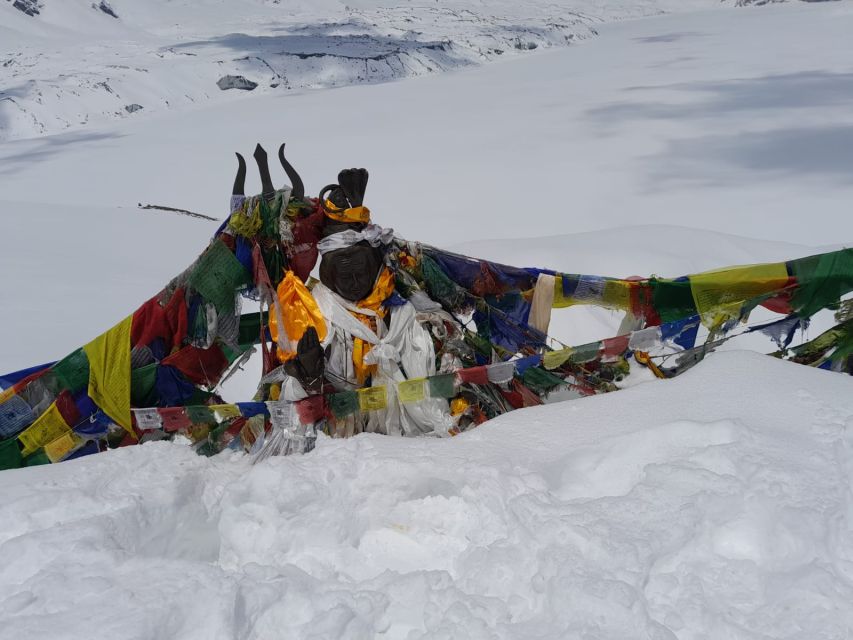 From Pokhara: 10-Day Poon Hill and Annapurna Base Camp Trek - Day seven: Machhapuchhre Base Camp to Annapurna Base Camp