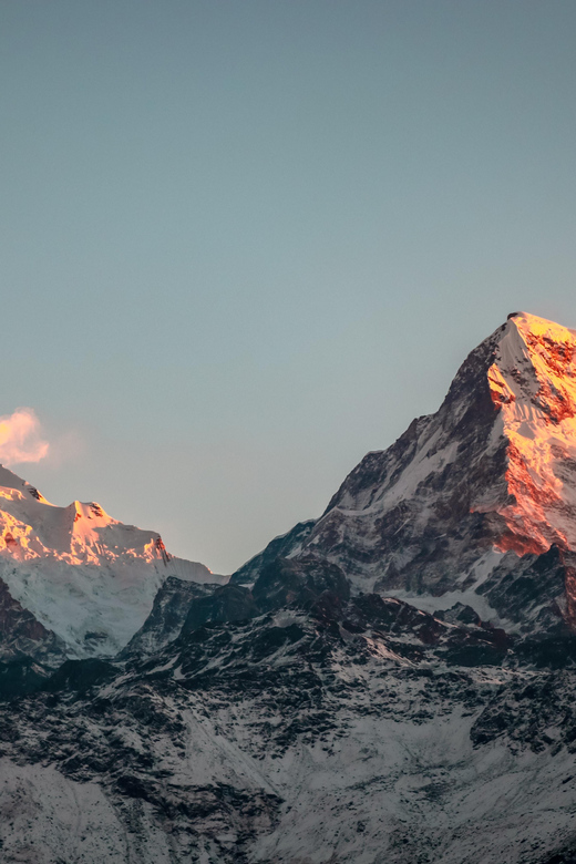From Pokhara: 3-Day Ghorepani Poonhill Short Trek - Day two: the forest route to Ghorepani