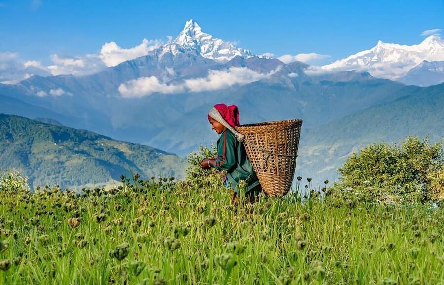 From Pokhara: 3-Day Ghorepani Poonhill Short Trek - The walking: easier than a major trek, not an easy stroll