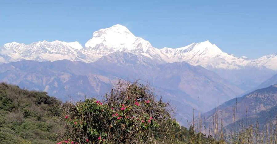 From Pokhara: 4-Day Annapurna and Poon Hill Himalayan Trek - Key points to know before you book