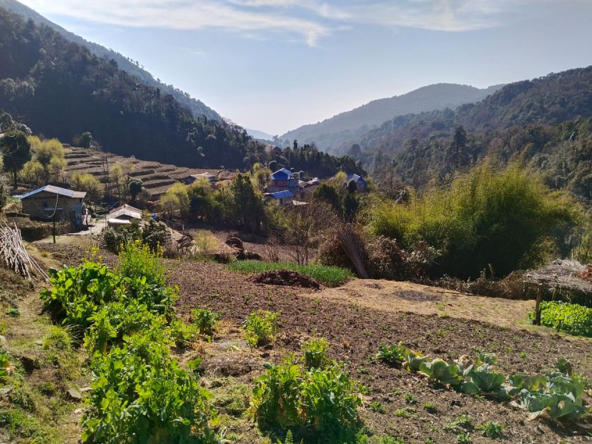 From Pokhara: 4-Day Annapurna and Poon Hill Himalayan Trek - Why Poon Hill makes this four-day trek worthwhile