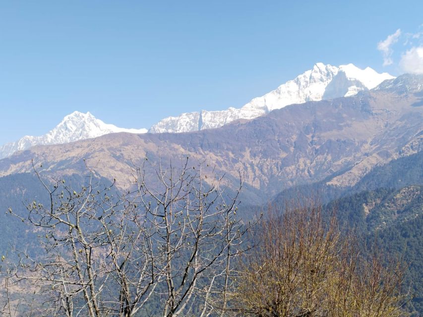 From Pokhara: 4-Day Annapurna and Poon Hill Himalayan Trek - The practical side of tea-house trekking