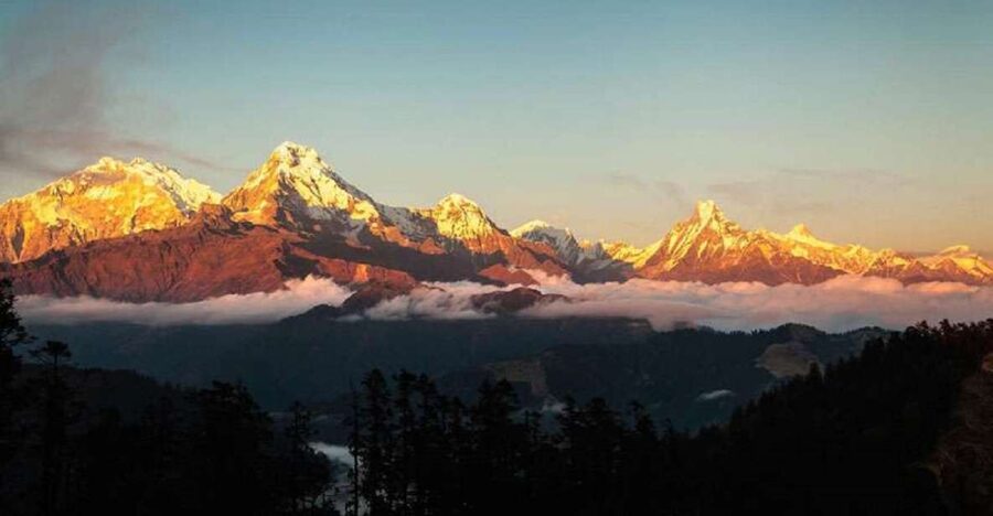 From Pokhara: 5-Day Annapurna Basecamp Trek with Hot Springs - Forest trails from Sinuwa to Deurali