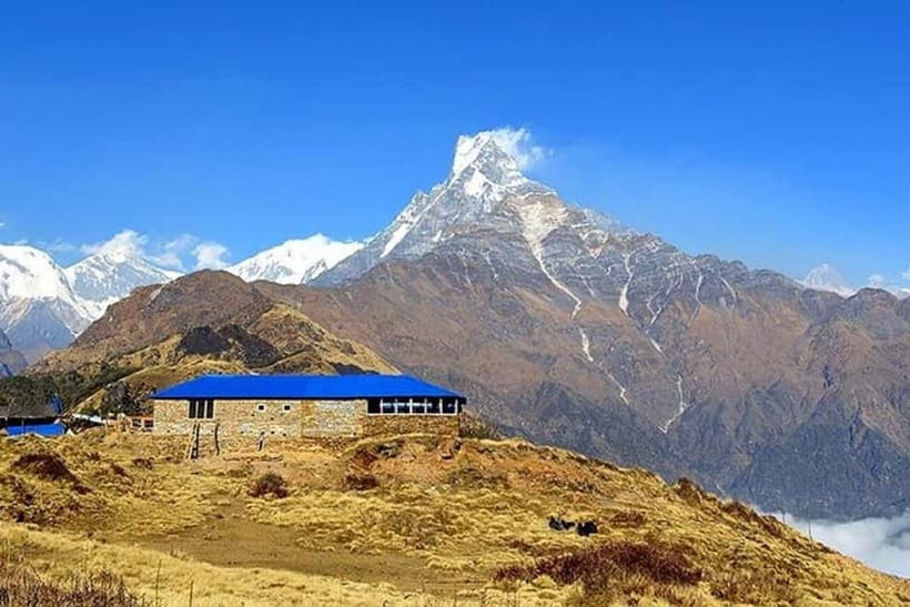 From Pokhara: 5-Day Mardi Himal Base Camp Trek - Food, tea houses, and what to pack