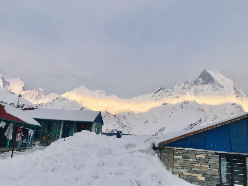 From Pokhara: 7 Days Budget backpackers group ABC Trek - Day 4: Deurali to Machhapuchhre Base Camp and ABC