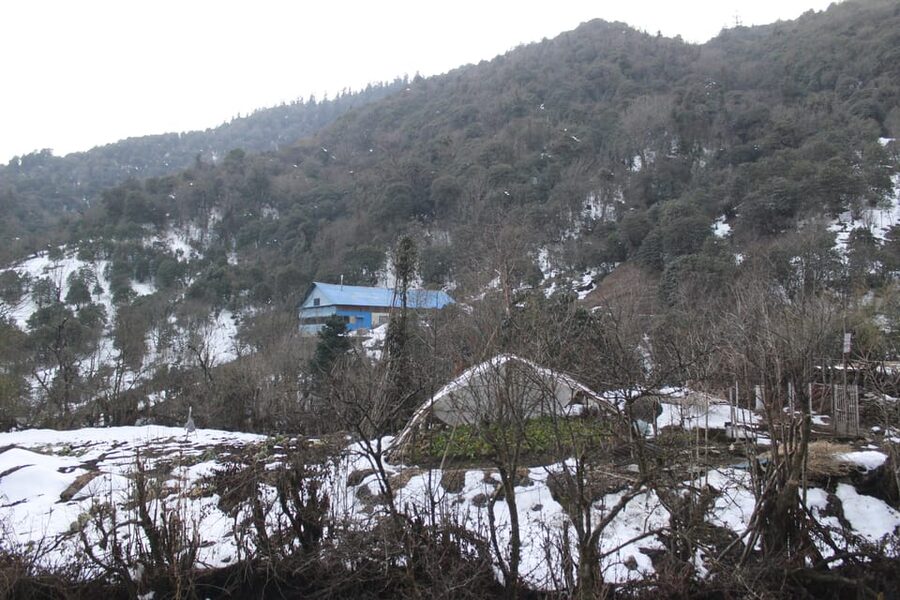 From Pokhara Budget: 2 Day 1 Night Ghorepani Poon Hill Trek - Breakfast, descent, and the ride back