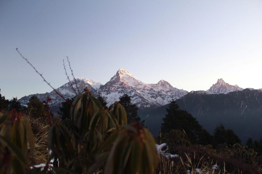 From Pokhara Budget: 2 Day 1 Night Ghorepani Poon Hill Trek - What the $116 price covers