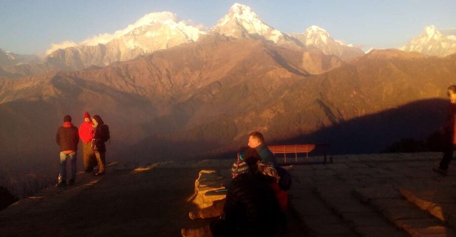 From Pokhara: Budget 2 Night 3 days Poon hill trek - Day 2: Tadapani to Ghorepani through rhododendron country