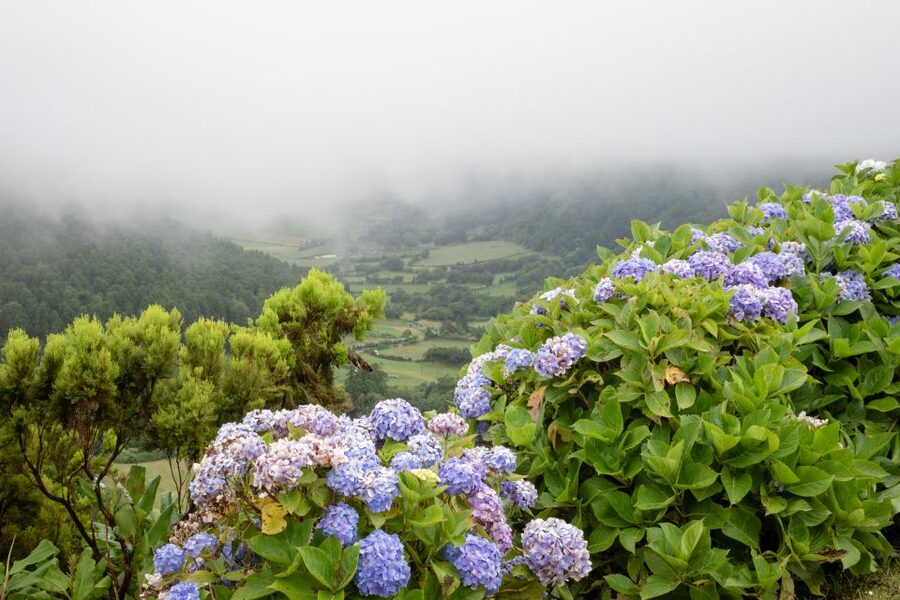 From Ponta Delgada: Vista do Rei to Sete Cidades Guided Trek - Lomba do Vasco and the turn toward the village