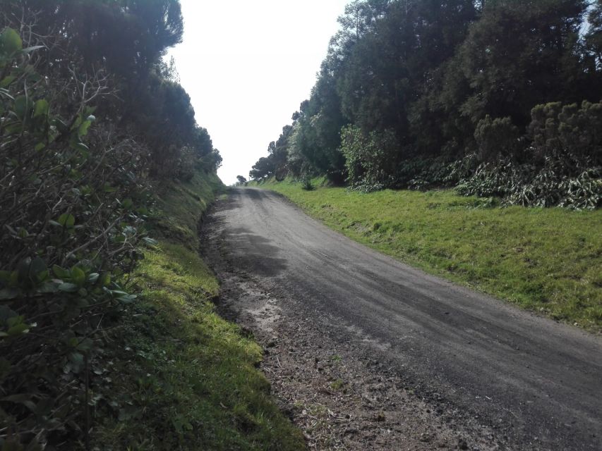 From Ponta Delgada: Vista do Rei to Sete Cidades Guided Trek - The ridge between lakes and ocean