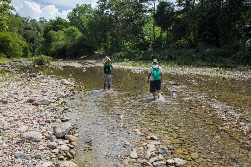 From Puerto Princesa: Trek to Batak Tribe Village - Key points before you book