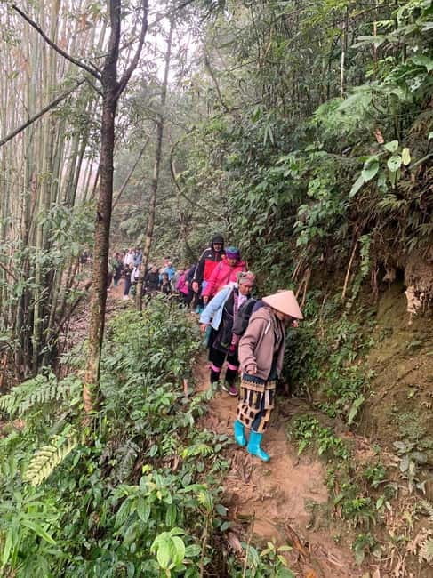 From Sapa : 1 Day Amazing Sapa Trek To Terrace rice field - Booking details worth checking