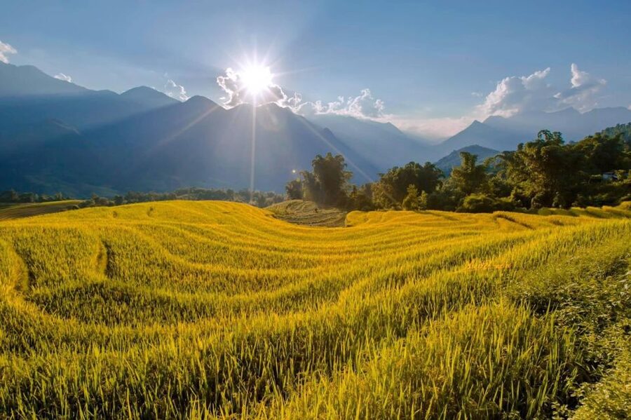 From Sapa: 1-Day Guided Trek to Lao Chai & Ta Van with Lunch - The walk to Ta Van and the Zay community