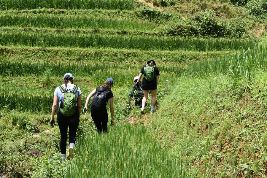 From Sapa: 1-Day Trekking through Terraces Rice Fields - What to bring for the trail