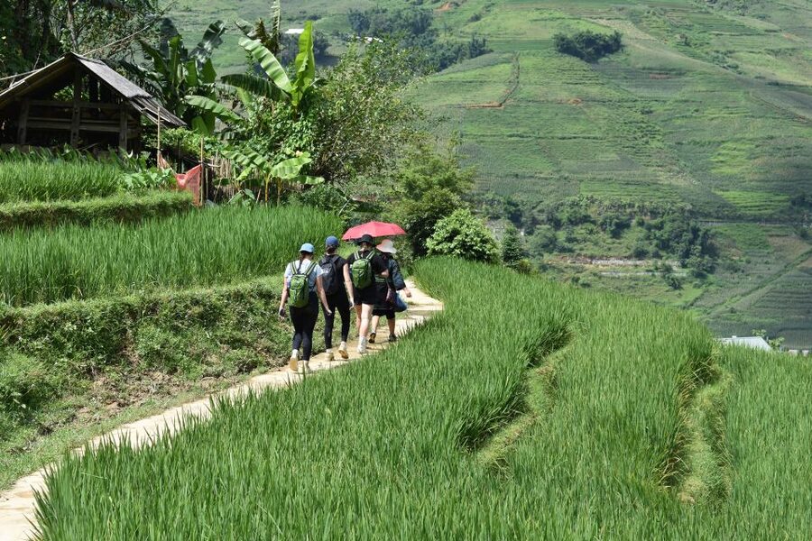 From Sapa: 1-Day Trekking through Terraces Rice Fields - Lunch in Lao Chai at noon