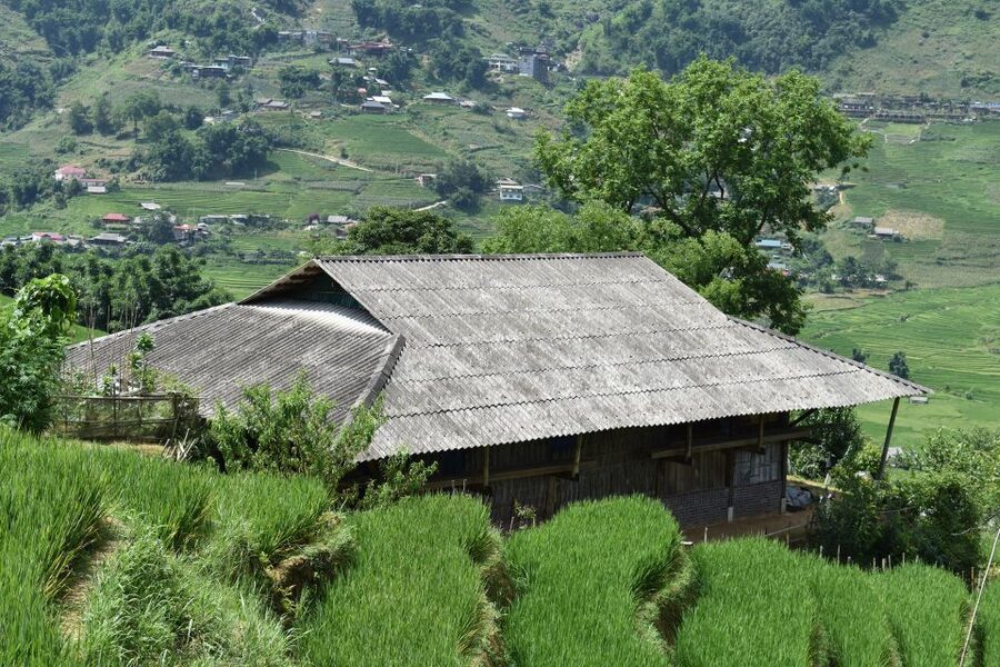 From Sapa: 1-Day Trekking through Terraces Rice Fields - Ta Van and the Giay community