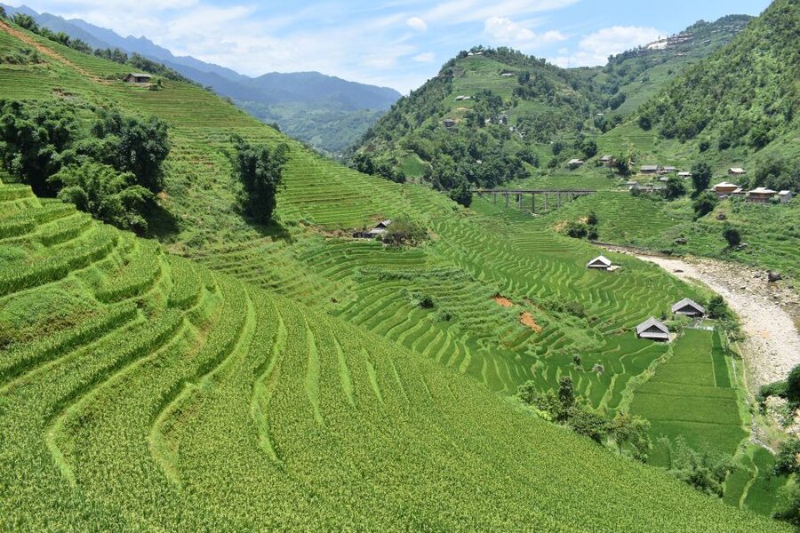 From Sapa: 1-Day Trekking through Terraces Rice Fields - Optional herbal baths and foot care