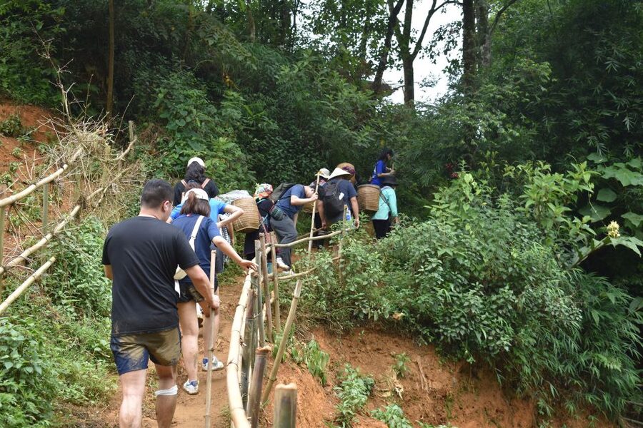 From Sapa: 1-Day Trekking through Terraces Rice Fields - Is $36 a good value?
