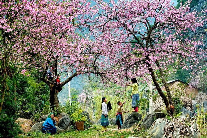 From Sapa: 2 Days 1 Night Trek Over Night At Homestay - Day one: from Sapa to Y Linh Ho