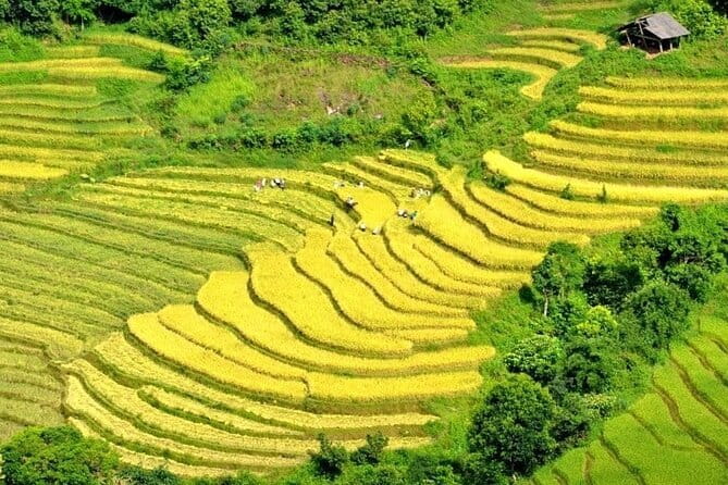From Sapa: 2 Days 1 Night Trek Over Night At Homestay - Supan lunch and the ride back to Sapa