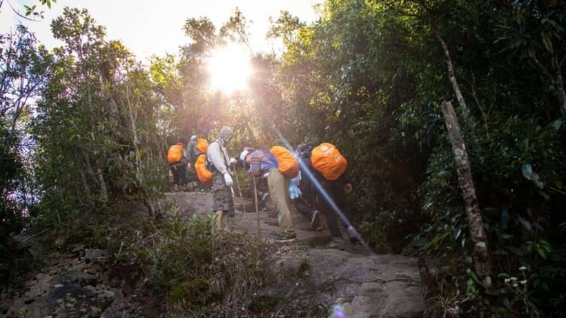 From Sapa: Full-Day Fansipan Peak Trekking Tour - Key points to know before booking