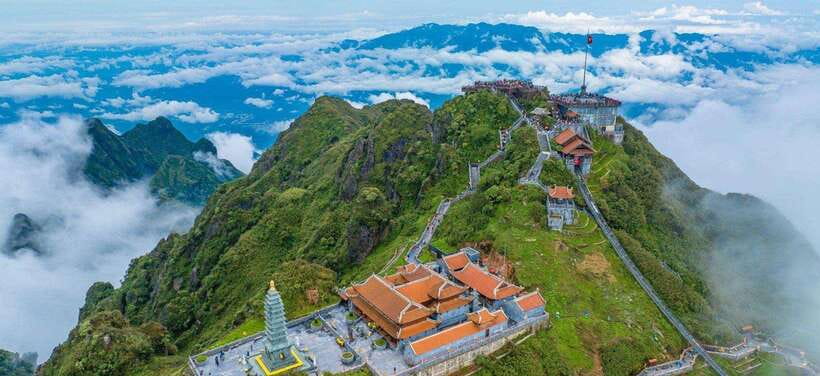 From Sapa: Full-Day Fansipan Peak Trekking Tour - Walking beneath giant pine trees