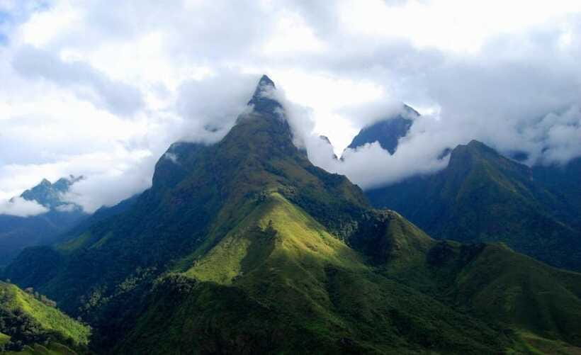 From Sapa: Full-Day Fansipan Peak Trekking Tour - Breakfast in the forest and lunch at Fansipan