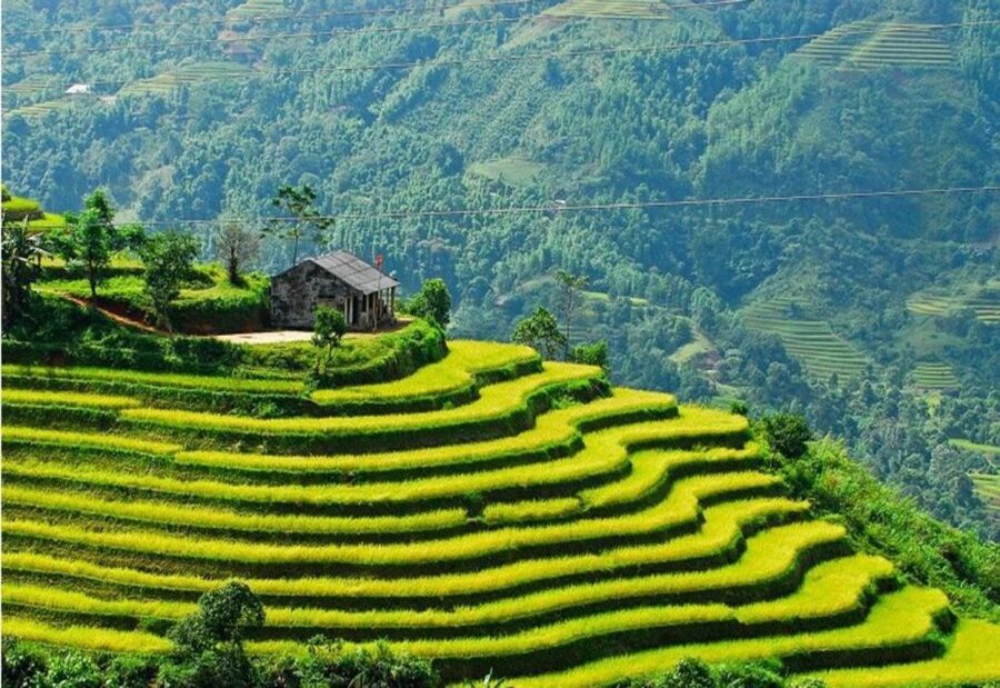 From Sapa: Full-Day Trekking Tour Lao Chai & Ta Van Villages - Lao Chai and Black Hmong village life