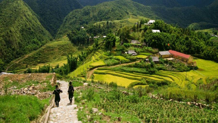 From Sapa: Full-Day Trekking Tour Lao Chai & Ta Van Villages - The route to Ta Van and its stilt houses