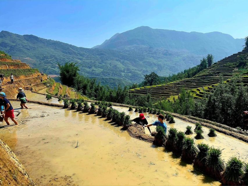 From Sapa: Full-Day Trekking Tour Lao Chai & Ta Van Villages - Lunch at a local restaurant