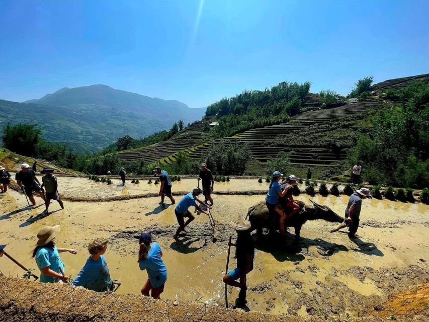 From Sapa: Full-Day Trekking Tour Lao Chai & Ta Van Villages - The ride back to Sapa