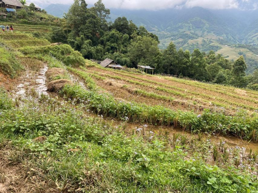 From Sapa: Full-Day Trekking Tour Lao Chai & Ta Van Villages - Who should choose this Sapa trek?
