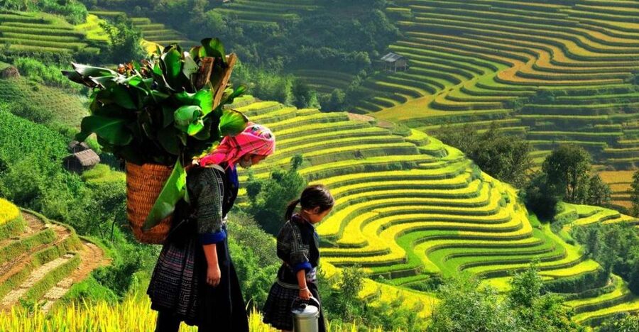 From Sapa: Full-Day Trekking Tour Lao Chai & Ta Van Villages - Y Linh Ho and the first rice terraces