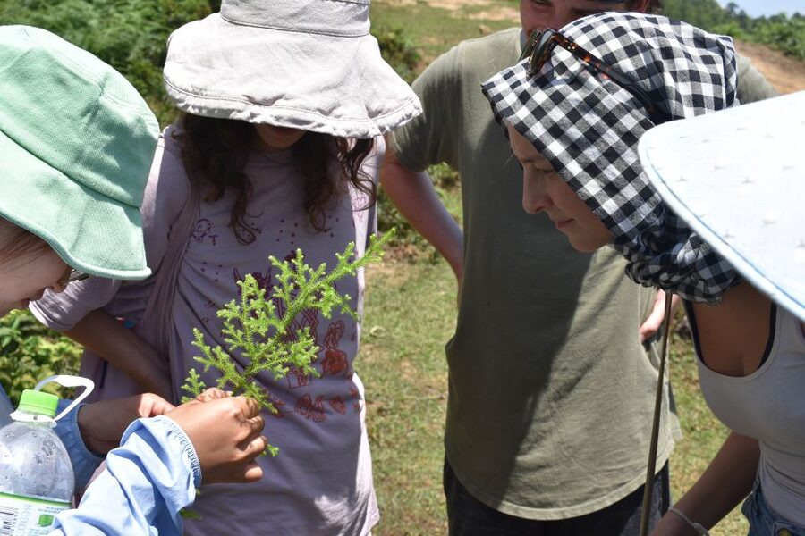 From Sapa: Muong Hoa Valley View & Village Trek 1-Day - What the $36 price really includes